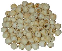 Global Lotus Root Seeds Market 2020:  Monsanto, Syngenta, Limagrain, Bayer Crop Science