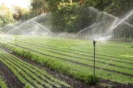 Micro and Mechanized Irrigation Systems Market