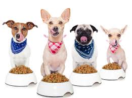 Analysis of Potential Impact of COVID-19 on Pet Food Market