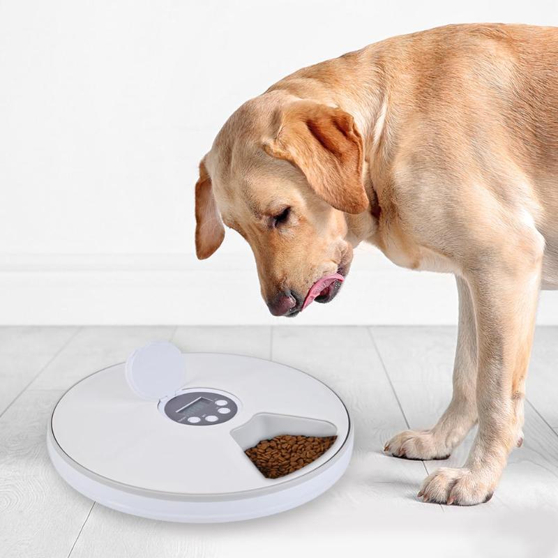 Smart Pet Food Dispenser Market 2020–Global Industry Analysis, Size, Share, Trends, Market Demand, Growth, Opportunities and Forecast 2030