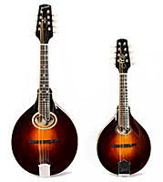 Global Soprano Mandolin Market 2020: Ashbury , Golden Gate , Kentucky , John Pearse , D’Addario 