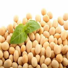 Global Soy Isoflavones Market 2020: NOW Foods, InVite Health, ADM, DHC, GNC