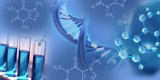 Sucrose Glyceride Market