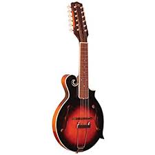 Global Twelve string Mandolin Market 2020: Ashbury, Golden Gate, Kentucky, John Pearse, D’Addario