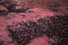 Global Wine-Making Yeast Market 2020:  Associated British Foods (U.K.), Angel Yeast (China), Lesaffre Group (France), Chr. Hansen Holding A/S (Denmark)