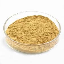 Global Yeast Extract Powder Market 2020:  Angel, Lesaffre, ABF Group, DSM Food Specialties