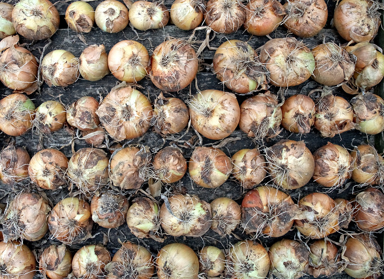 COVID-19 Outbreak: Dry Onion Market – Global Industry Report, 2027