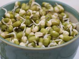 Global Bean Sprouts Market 2020- Henan Lvsezhongyuan, Zhengzhou New Village, Ningbo Wulongtan, Anhui Anxin, Chengdu Ande