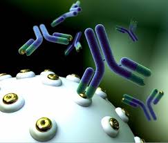 Global Breast Cancer Monoclonal Antibodies Market 2020:  F. Hoffmann-La Roche, Amgen, Mylan, Pfizer