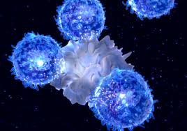 Global Checkpoint Inhibitors for Treating Cancer Market 2020- Bristol-Myers Squibb(BMS), Merck, Roche,,