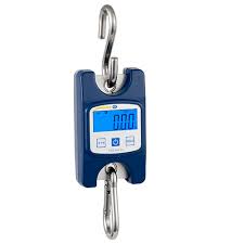 Global Crane Scales Market 2020:  Schenck Process, Carl Stahl GmbH, PCE Instruments, ADOS