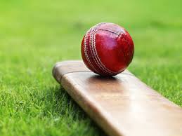 Global Cricket Market 2020- Gray-Nicolls, Slazenger, Woodworm, Gunn & Moore, British Cricket Balls
