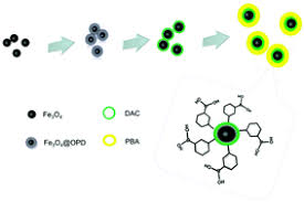 Dialdehyde Nano-crystalline Cellulose Market