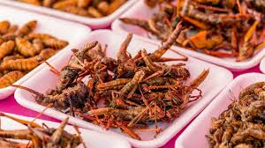 Impact Assessment of COVID-19 Outbreak on Edible Insects Market