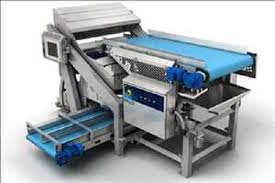 Global Food Sorting Machines Market 2020:  TOMRA, Key Technology, Sesotec, GREEFA