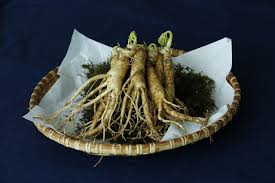 Ginseng Market Growth with Worldwide Industry Analysis to 2027