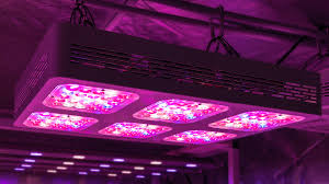 Grow Light Market Scenario Highlighting Major Drivers & Trends, 2027