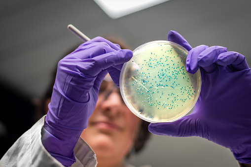 Gram-positive Bacterial Infections Market Key Opportunities and Forecast up to 2024