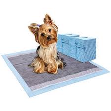 Global Super Absorbent Pet Pad Market 2020- Tianjin Yiyihygiene, Hartz (Unicharm), Jiangsu Zhongheng, DoggyMan