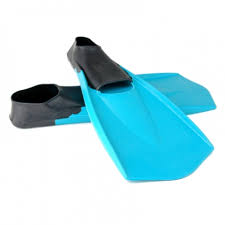 Swim Fins Market