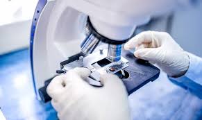 Global T Lymphocyte Activation Antigen CD80 Market 2020:  3SBio Inc, BioAtla LLC, Bristol-Myers Squibb Co, KAHR medical Ltd