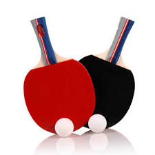 Global Table Tennis Market 2020- Double Fish, DHS, Nittaku, STIGA