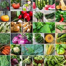 Global Vegetable Seed Market 2020- Monsanto, Syngenta, Limagrain, Bayer Crop Science