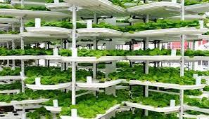 Global Vertical Farming, Plant Factory Market 2020- Philips, OSRAM, Illumitex, GE