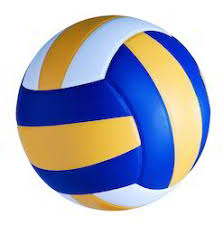 Global Volleyball Market 2020- Mikasa, Molten, Tachikara, Wilson