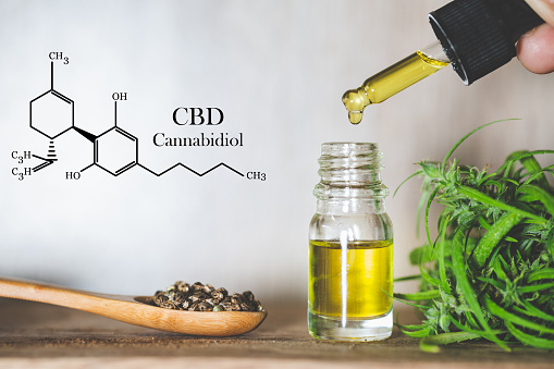 Study recommends Cannabidiol decreases Lung Harm from Covid-19