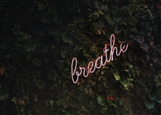 Breathe Easy: A Comprehensive Guide to Optimal Lung Health