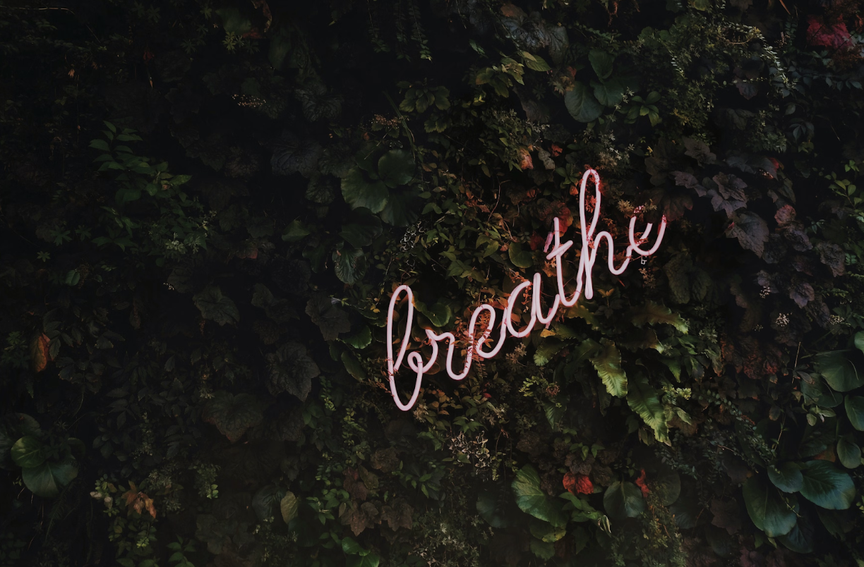 Breathe Easy: A Comprehensive Guide to Optimal Lung Health