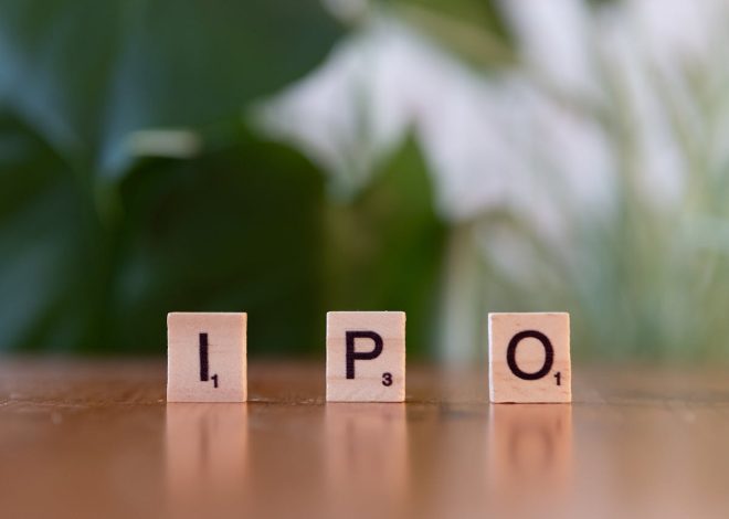 Why Some IPO Stocks Soar While Others Flop