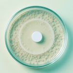 What Are Antibiotics, and How Do They Work?