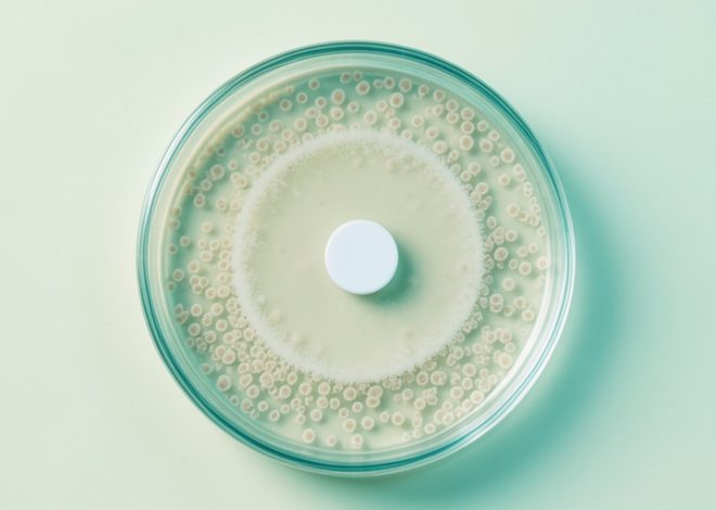 What Are Antibiotics, and How Do They Work?