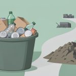 What Actually Happens to Your Recycling?