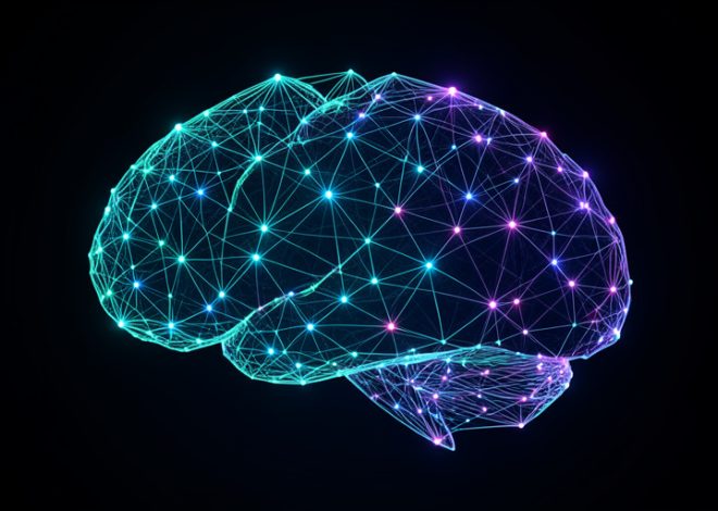 What Is a Connectome? Brain Mapping Explained