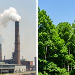 What Is Carbon Offsetting, and Does It Work?