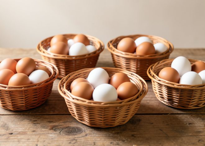 What Is Diversification, and How Does It Work?