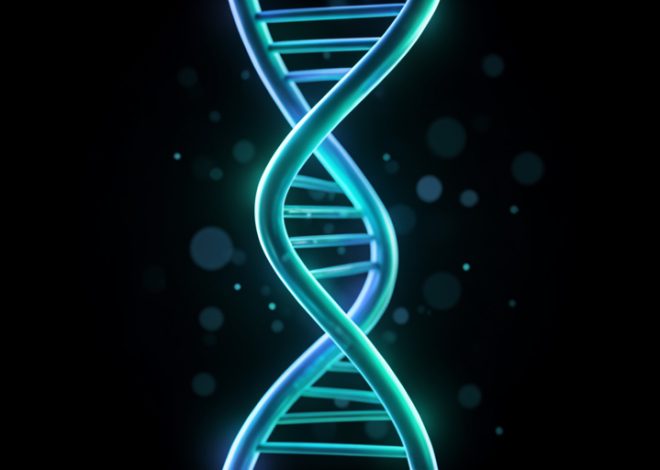 What Is DNA, and How Does It Work?