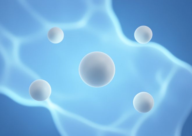 What Is the Immune System, and How Does It Work?