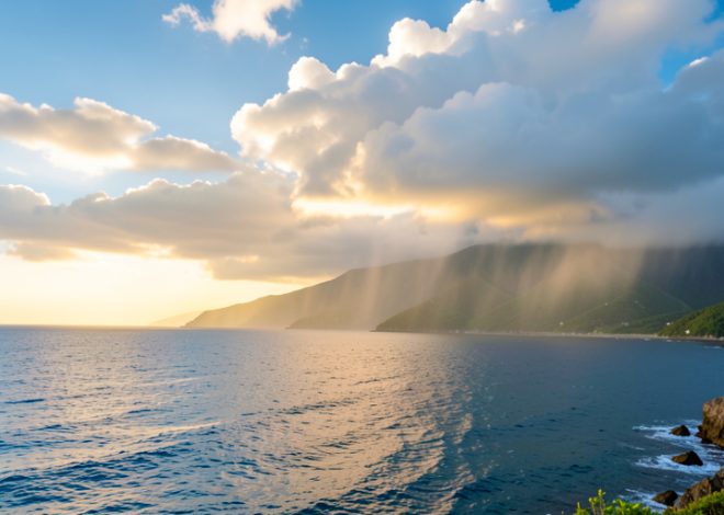 What Is the Water Cycle, and How Does It Work?