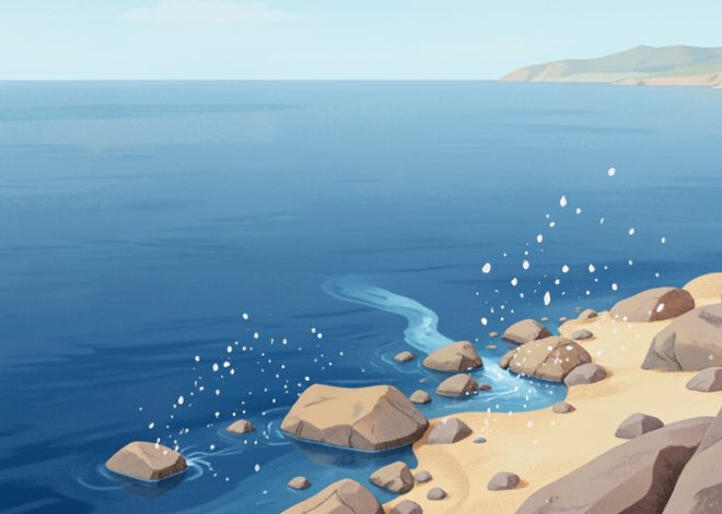 Why Is the Ocean Salty? The Science of Seawater